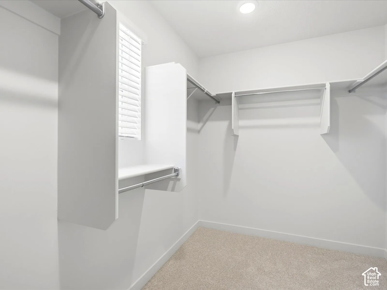 Walk-in closet featuring white built-in shelving, metal hanging rods, neutral carpeting, and a window with horizontal blinds