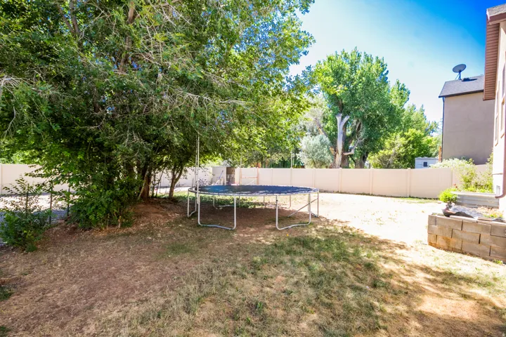 Trampoline Included