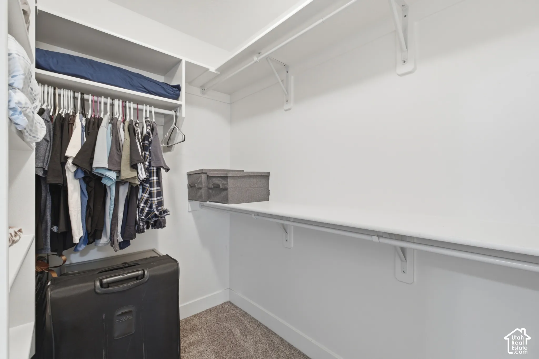 Spacious walk-in closet featuring white built-in shelving, hanging rods, and light gray carpeted flooring