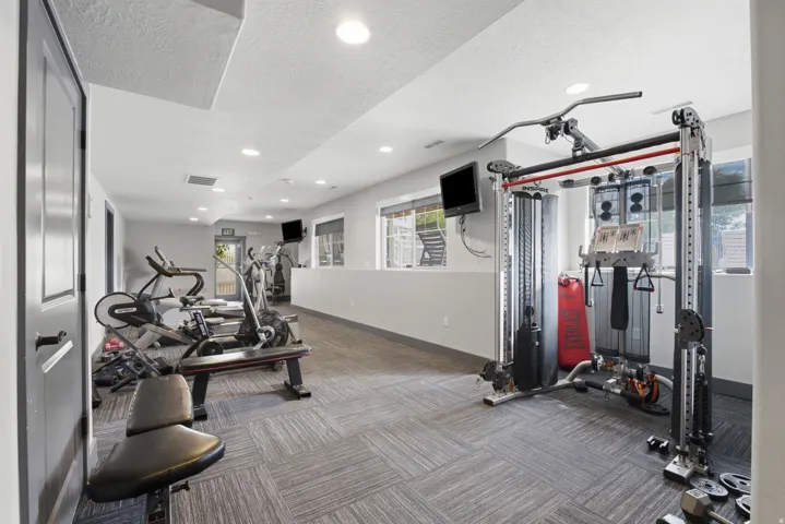 Dedicated fitness room featuring recessed lighting and patterned carpet flooring