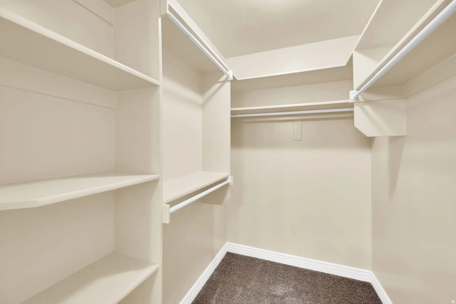 Organized walk-in closet featuring multiple shelving units, hanging rods, light beige walls, white baseboards, and brown carpeting