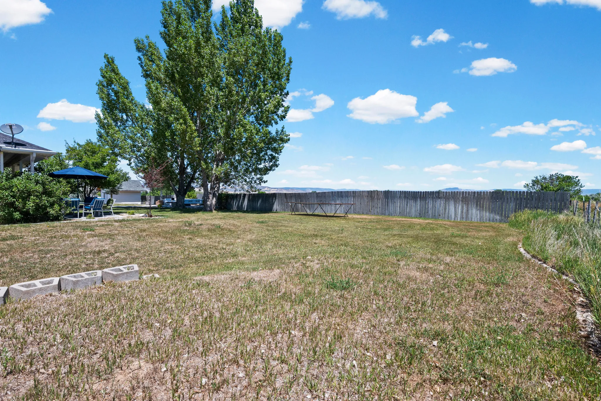 Expansive backyard featuring a natural grass lawn, a large mature tree, and a wood privacy fence