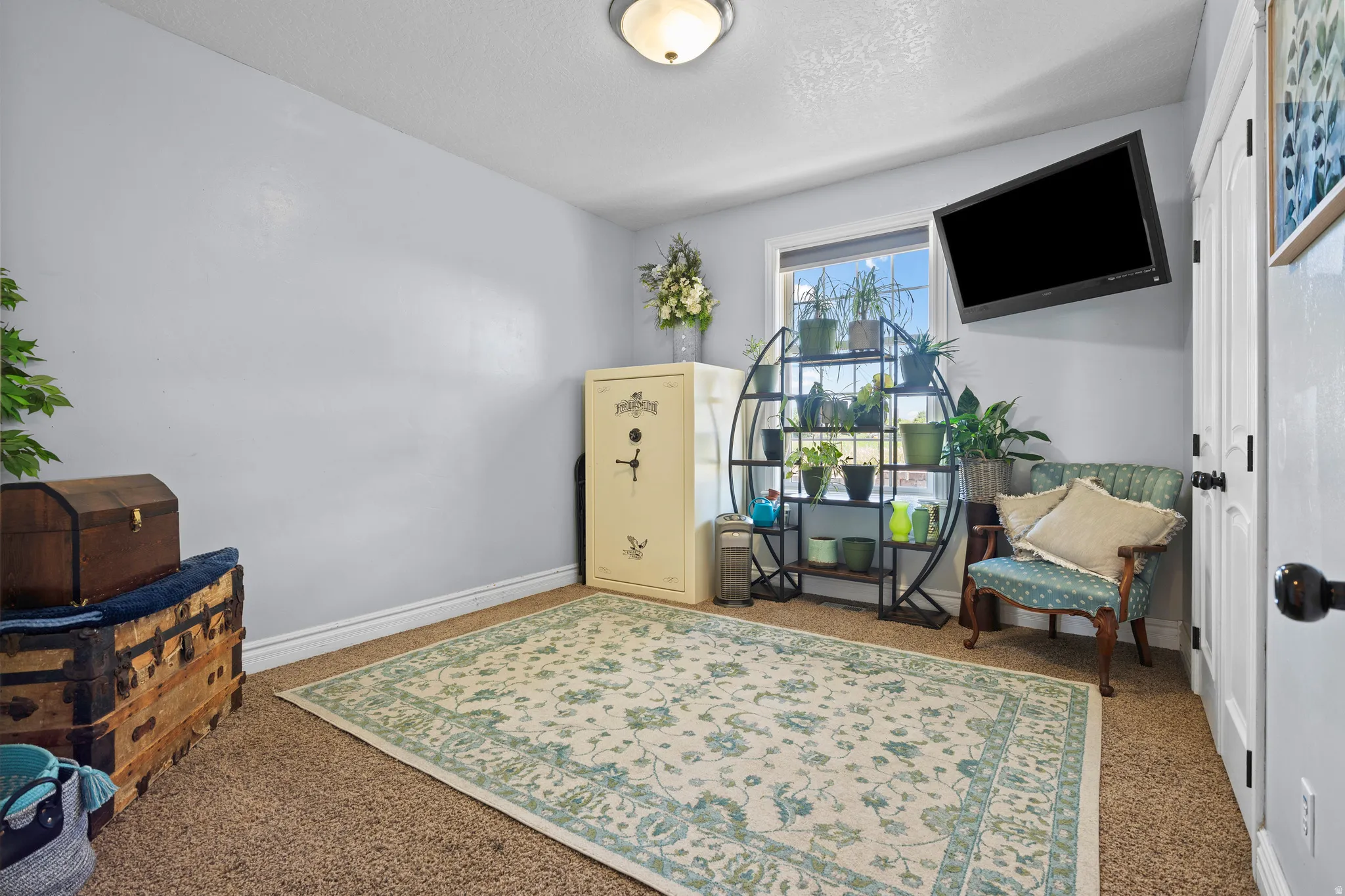 Room featuring light gray walls, plush carpet flooring, a window providing natural light, and an overhead flush-mount light fixture