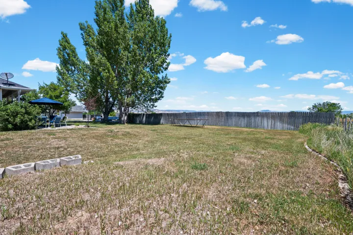 Expansive backyard featuring a natural grass lawn, a large mature tree, and a wood privacy fence