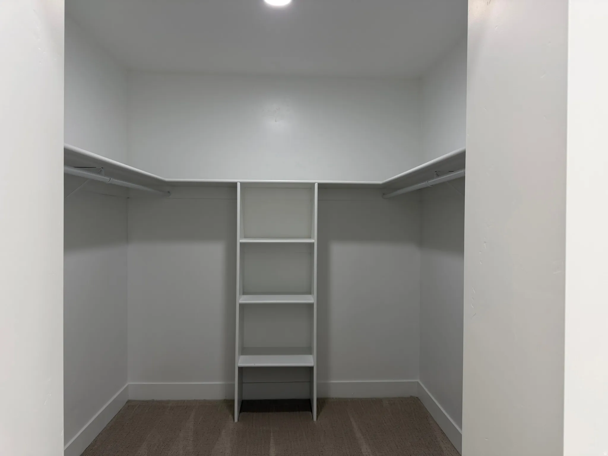 Walk-in closet featuring built-in shelving, dual hanging rods, recessed ceiling lighting, and carpet flooring
