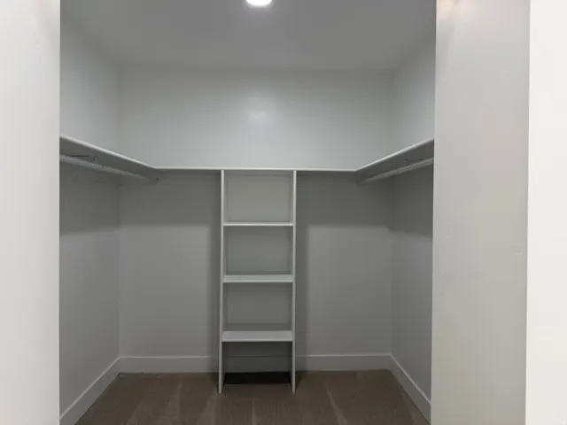 Walk-in closet featuring built-in shelving, dual hanging rods, recessed ceiling lighting, and carpet flooring
