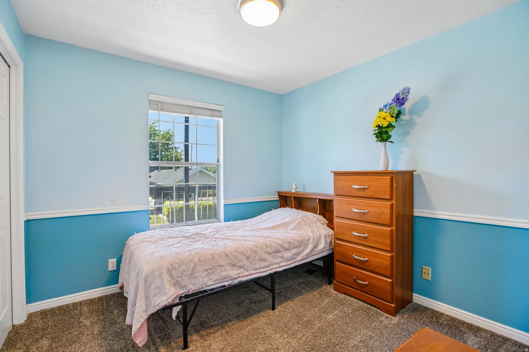 Room with two-toned blue walls, white trim, and textured carpet flooring