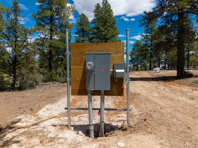 Utility pedestal with electrical meter and service panel, set against a backdrop of mature pine trees and a clear blue sky