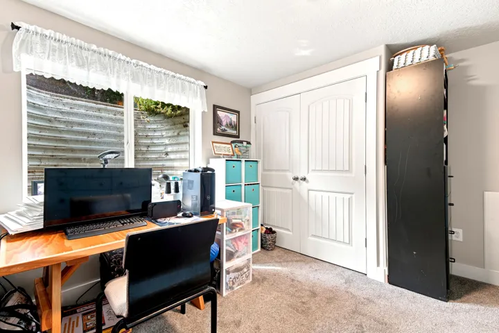 Room featuring a double window with a corrugated window well, a double-door closet with arch-top panels, and neutral-toned carpeting