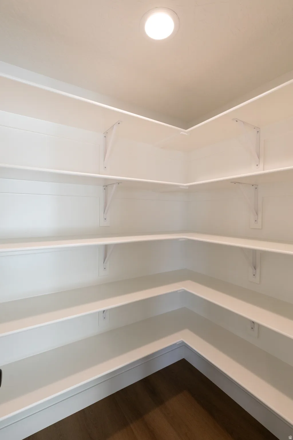 Basement pantry/storage