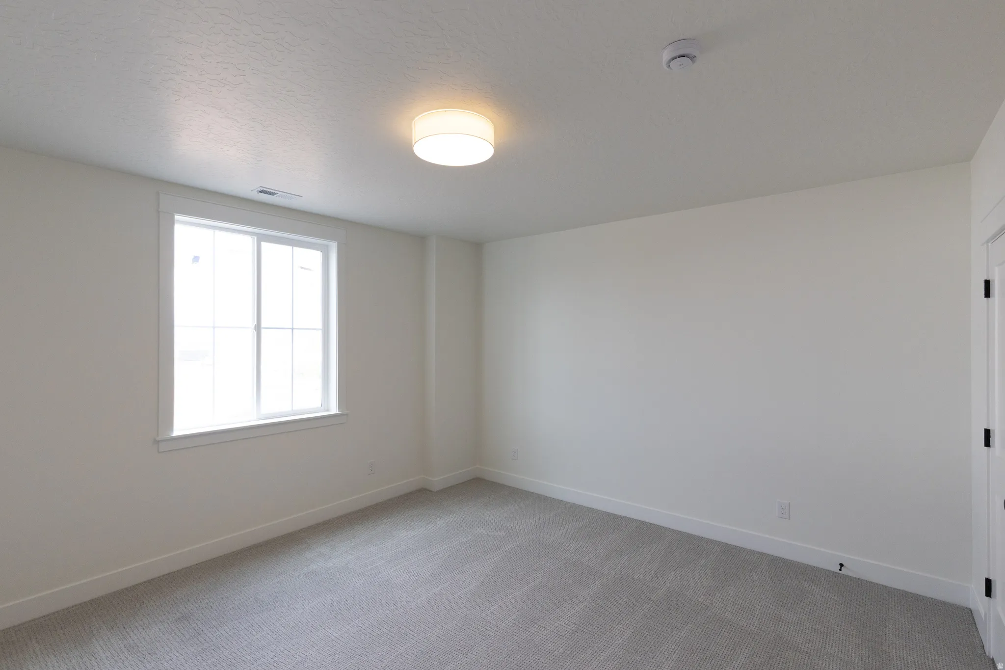 Neutral wall paint, ceiling-mounted light fixture, light grey carpet, and a window with white trim