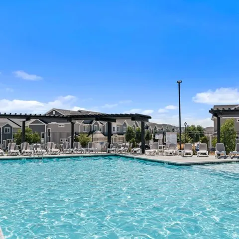 Outdoor swimming pool with surrounding concrete deck, lounge chairs, and pergolas