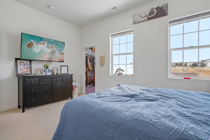 Spacious room featuring light-colored carpeting, multiple double-hung windows, and a generous closet alcove