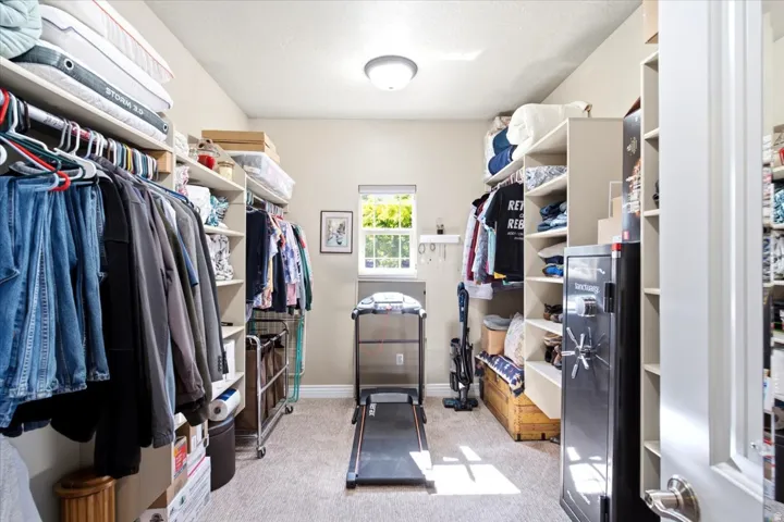 Spacious walk-in closet featuring extensive built-in shelving, hanging rods, carpet flooring, a single window, and a ceiling-mounted light fixture