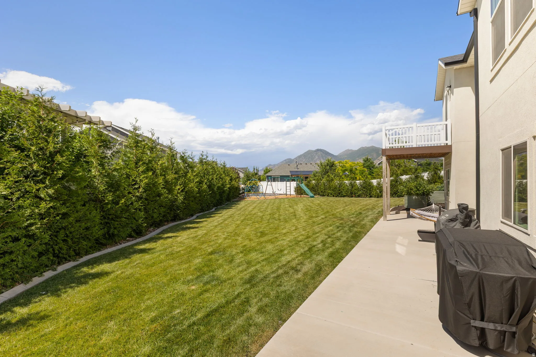 Expansive backyard featuring a manicured lawn, concrete patio, and a row of mature evergreen trees