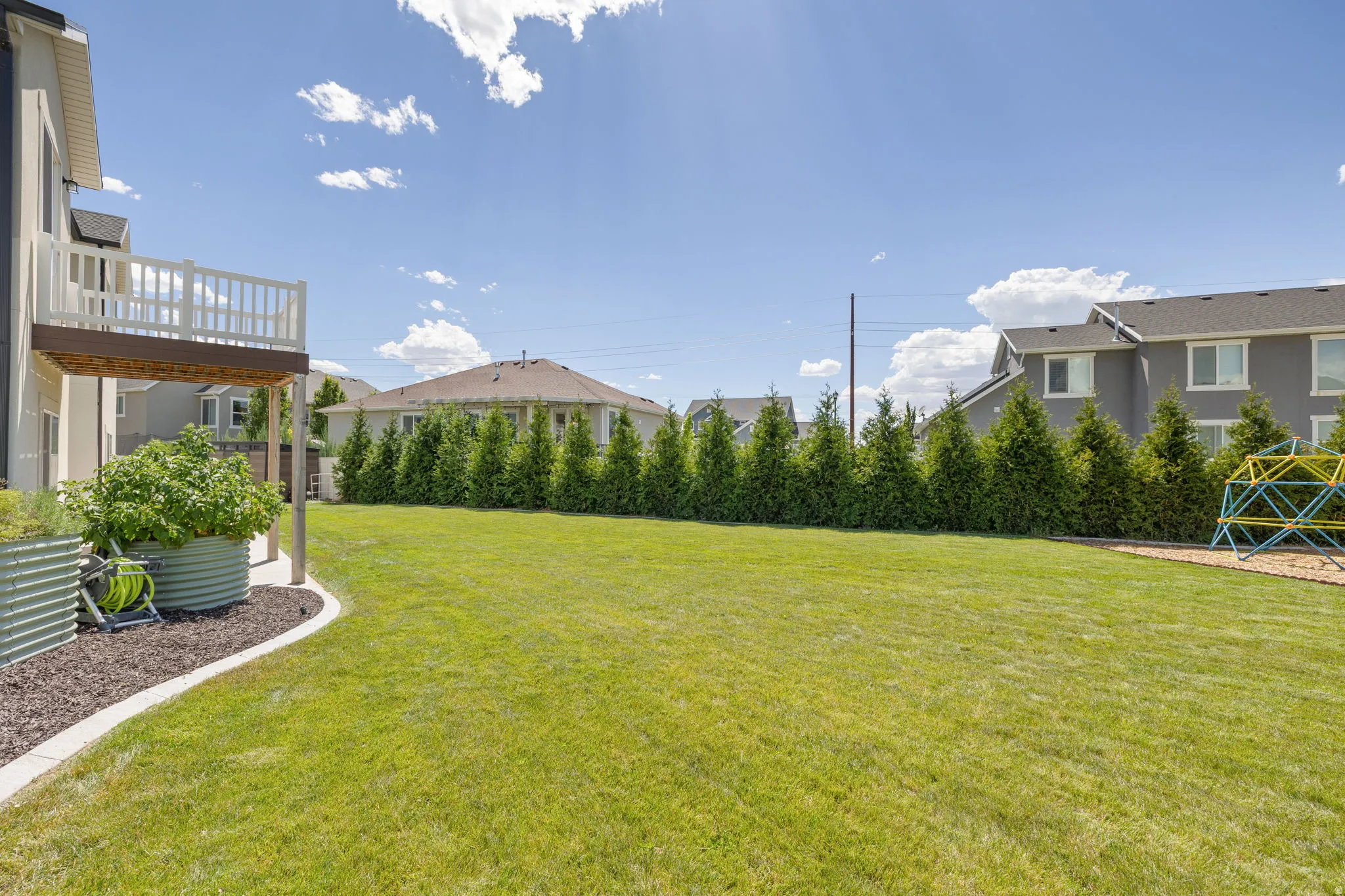 Expansive green lawn surrounded by mature evergreen trees