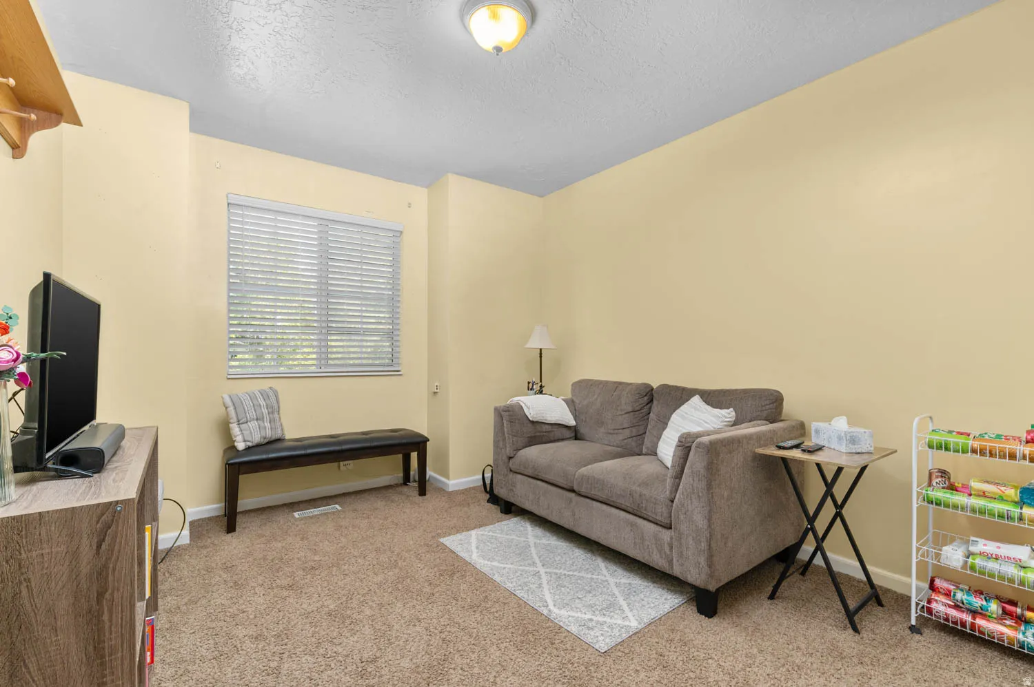 Carpeted room with a textured ceiling, a flush mount ceiling light, and a window with horizontal blinds