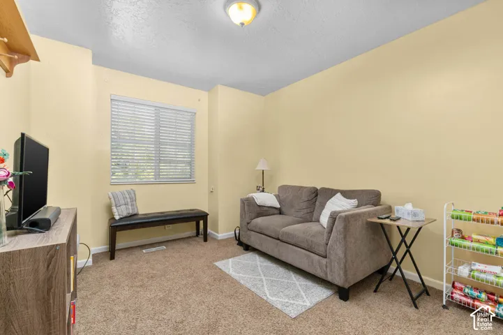 Carpeted room with a textured ceiling, a flush mount ceiling light, and a window with horizontal blinds