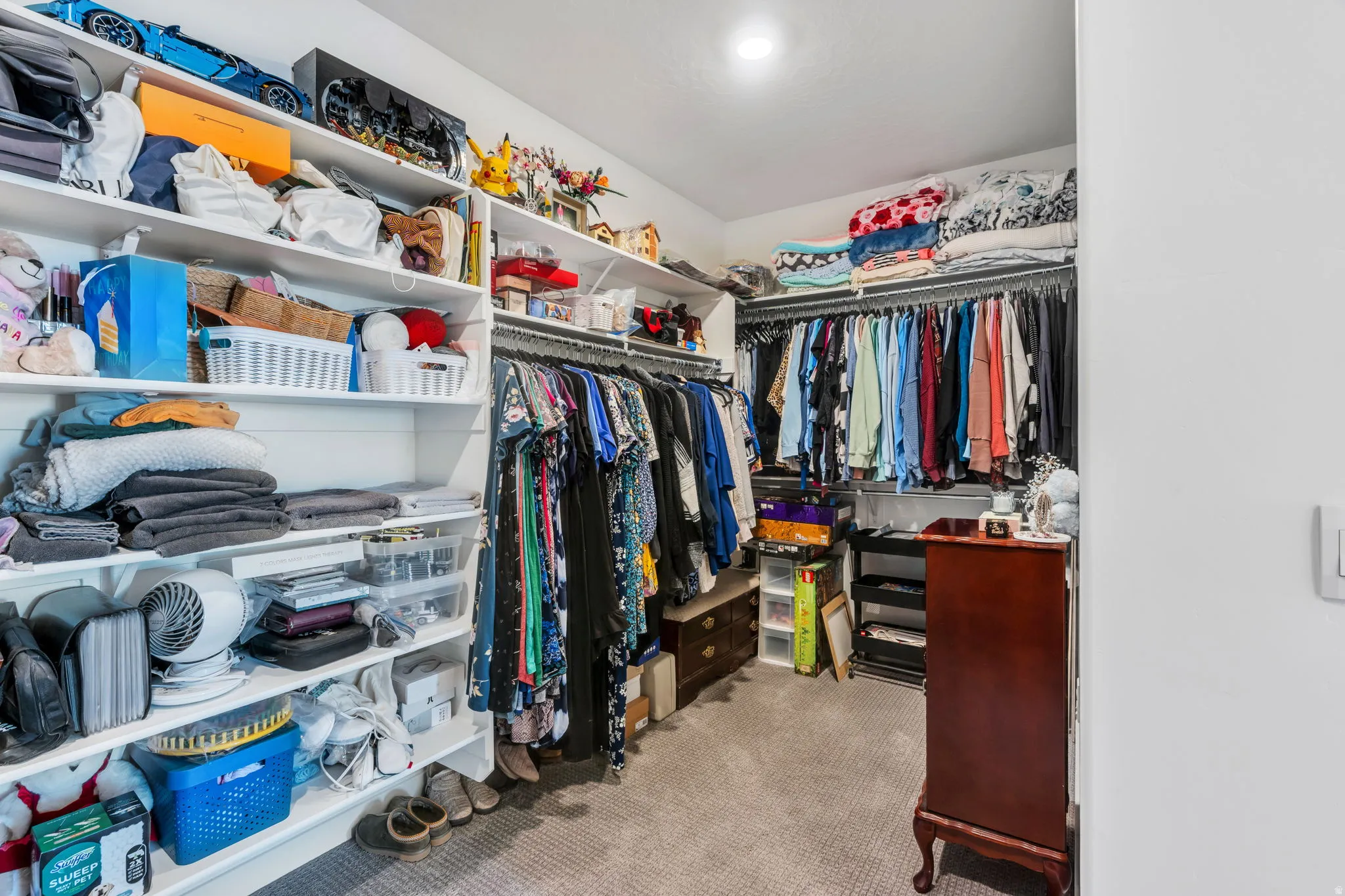 LARGE Walk in closet