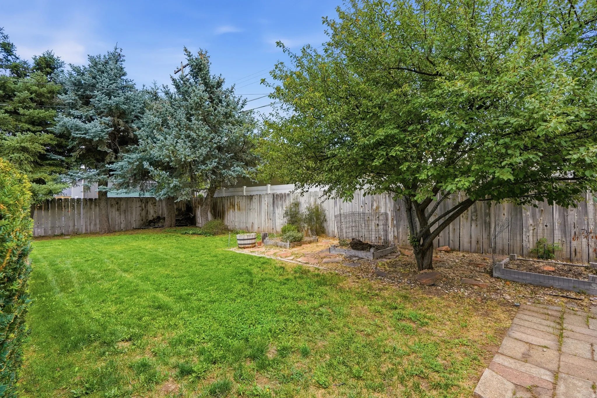 Expansive backyard featuring a lush lawn, mature trees, wood privacy fencing, and a brick paver pathway
