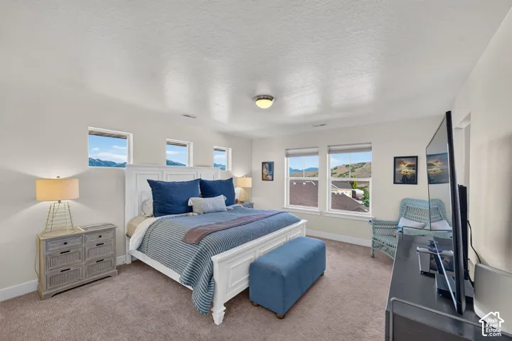 Spacious bedroom with neutral-toned carpeting, white baseboards, and multiple windows providing natural light