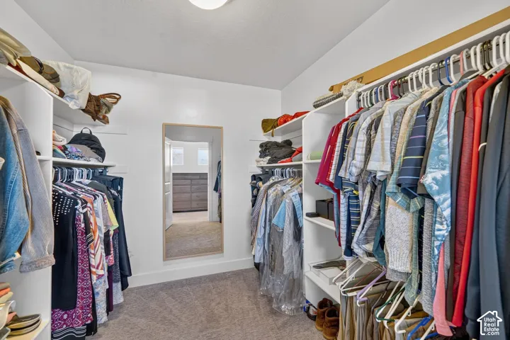 Walk-in closet featuring built-in shelving, hanging rods, recessed lighting, and carpet flooring