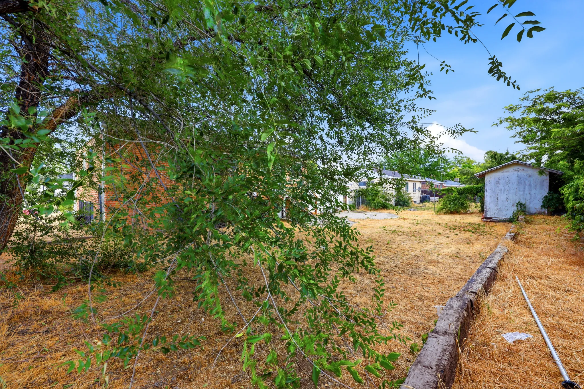 Expansive outdoor space featuring a detached storage shed, mature trees, and a low retaining wall