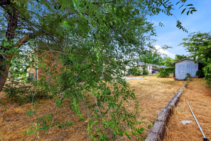 Expansive outdoor space featuring a detached storage shed, mature trees, and a low retaining wall