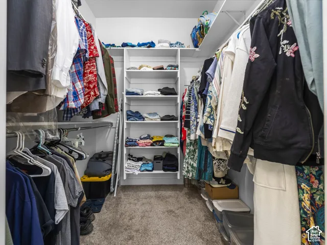 Expansive walk-in closet featuring white built-in shelving, chrome hanging rods, and plush carpeting