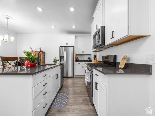 Modern kitchen featuring white cabinetry, dark countertops, stainless steel appliances, wood-finish flooring, and recessed lighting