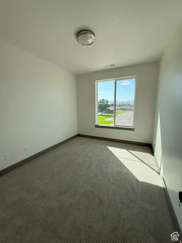 Light-filled interior space featuring a large window, textured carpeting, neutral wall finishes, a flush-mount ceiling light fixture, and dark baseboards