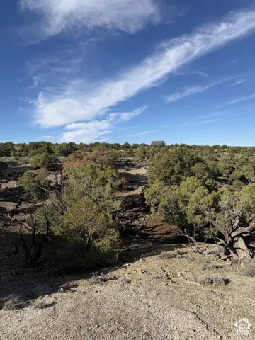 Natural desert landscape featuring various native shrubs and trees
