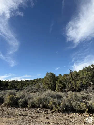 Natural landscape with varied terrain and established trees