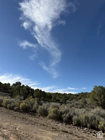 Expansive land featuring natural vegetation, scattered trees, and a clear blue sky