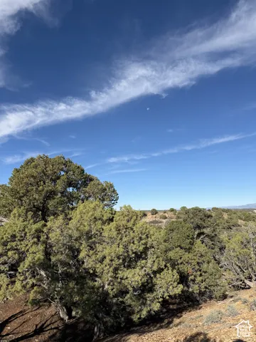 Expansive outdoor space featuring mature trees, natural terrain, and a clear sky backdrop