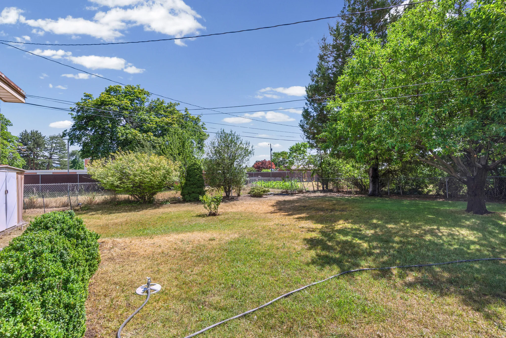 Expansive backyard featuring mature trees, diverse plantings, a chain-link fence, and a storage shed