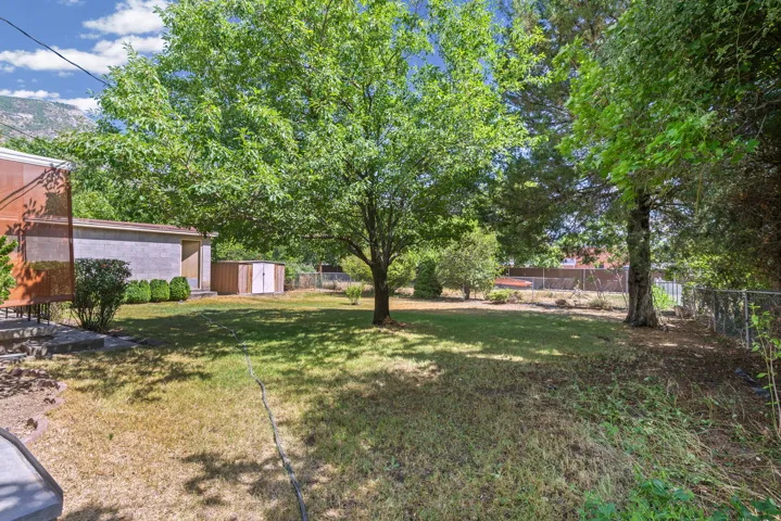 Expansive backyard featuring a mature deciduous tree providing shade