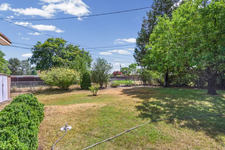 Expansive backyard featuring mature trees, diverse plantings, a chain-link fence, and a storage shed