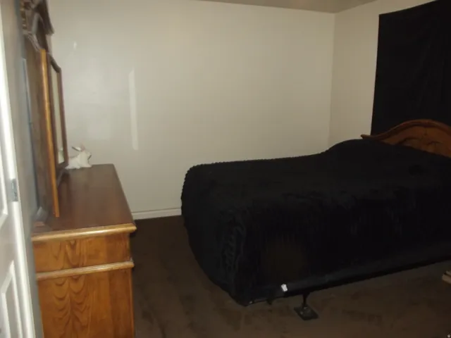 Image quality insufficient for description
