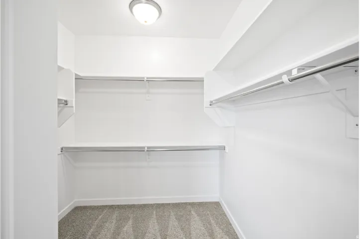 Walk-in closet featuring white walls, white shelving, chrome hanging rods, and gray carpet flooring