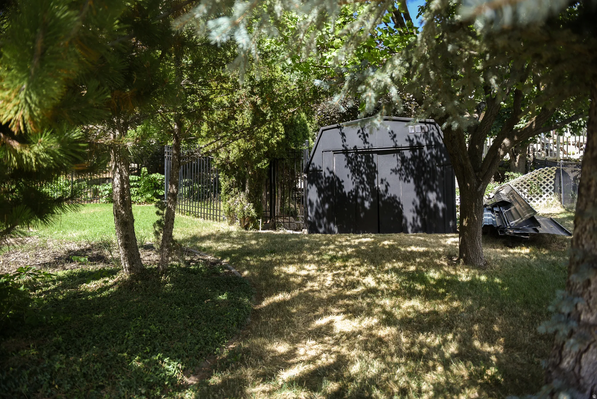 Backyard area featuring a dark shed with double doors, mature trees, and a metal fence