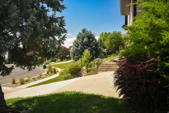 Concrete pathway leading to stone steps with a metal handrail, surrounded by mature evergreen trees and diverse shrubbery, all under a clear sky