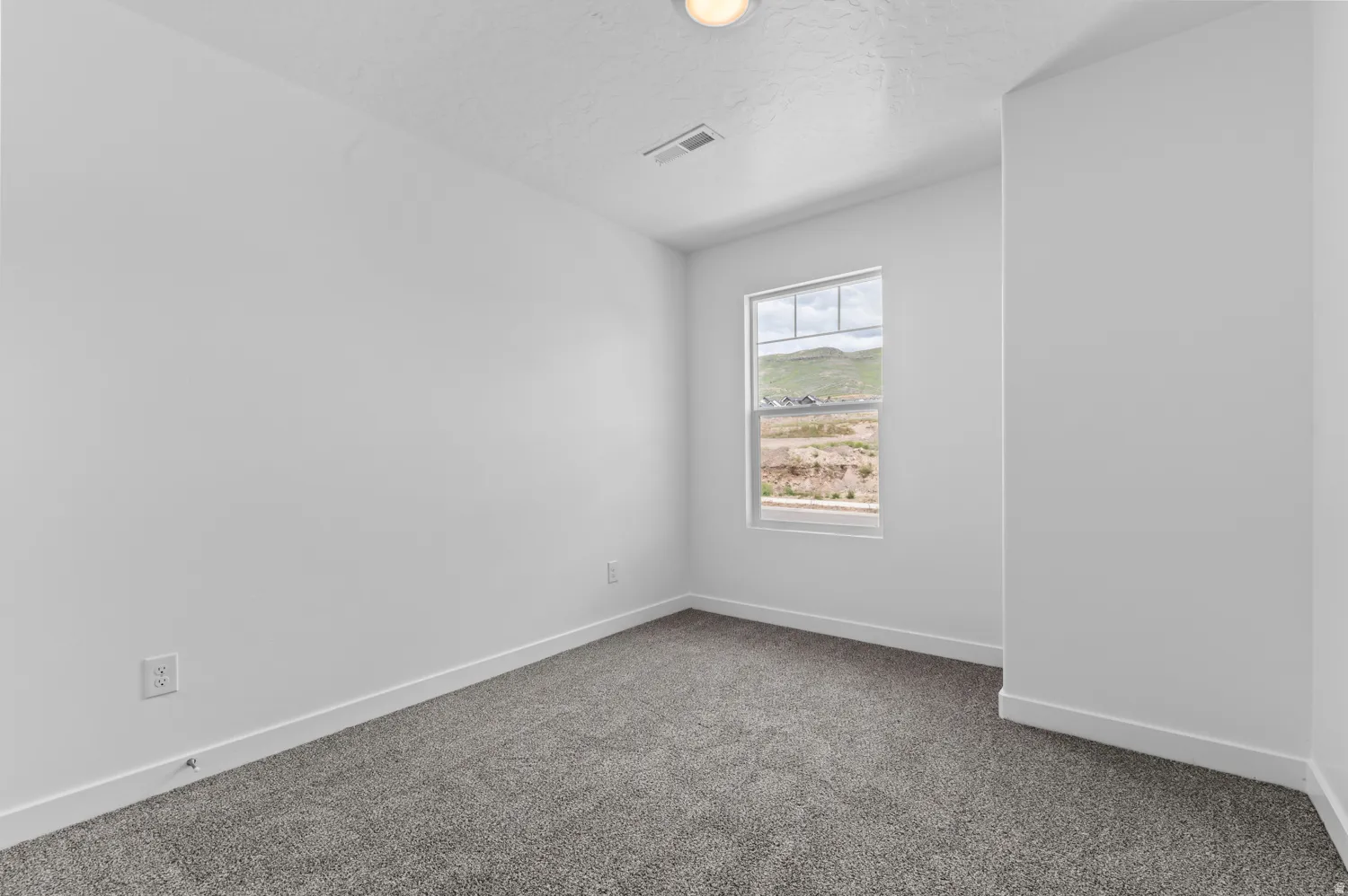 Room featuring a single-pane window, neutral-toned walls, and grey carpet flooring