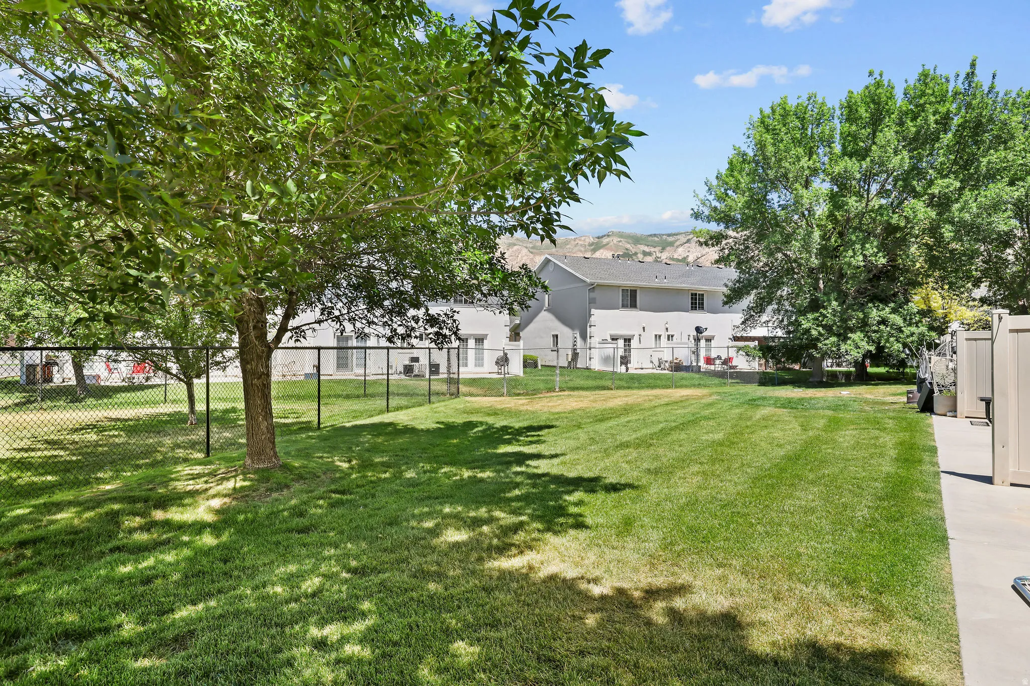 Expansive backyard featuring a manicured lawn, established trees, and durable chain-link fencing