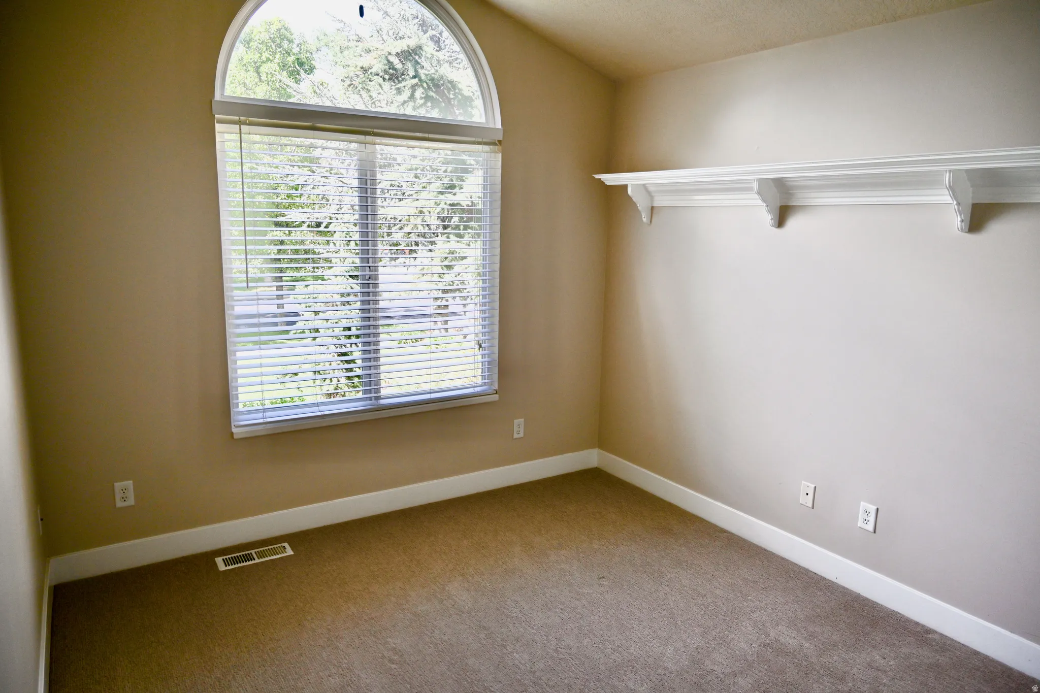 Arch-top window with blinds, featuring tan wall paint, white trim, carpet flooring, and a decorative wall shelf