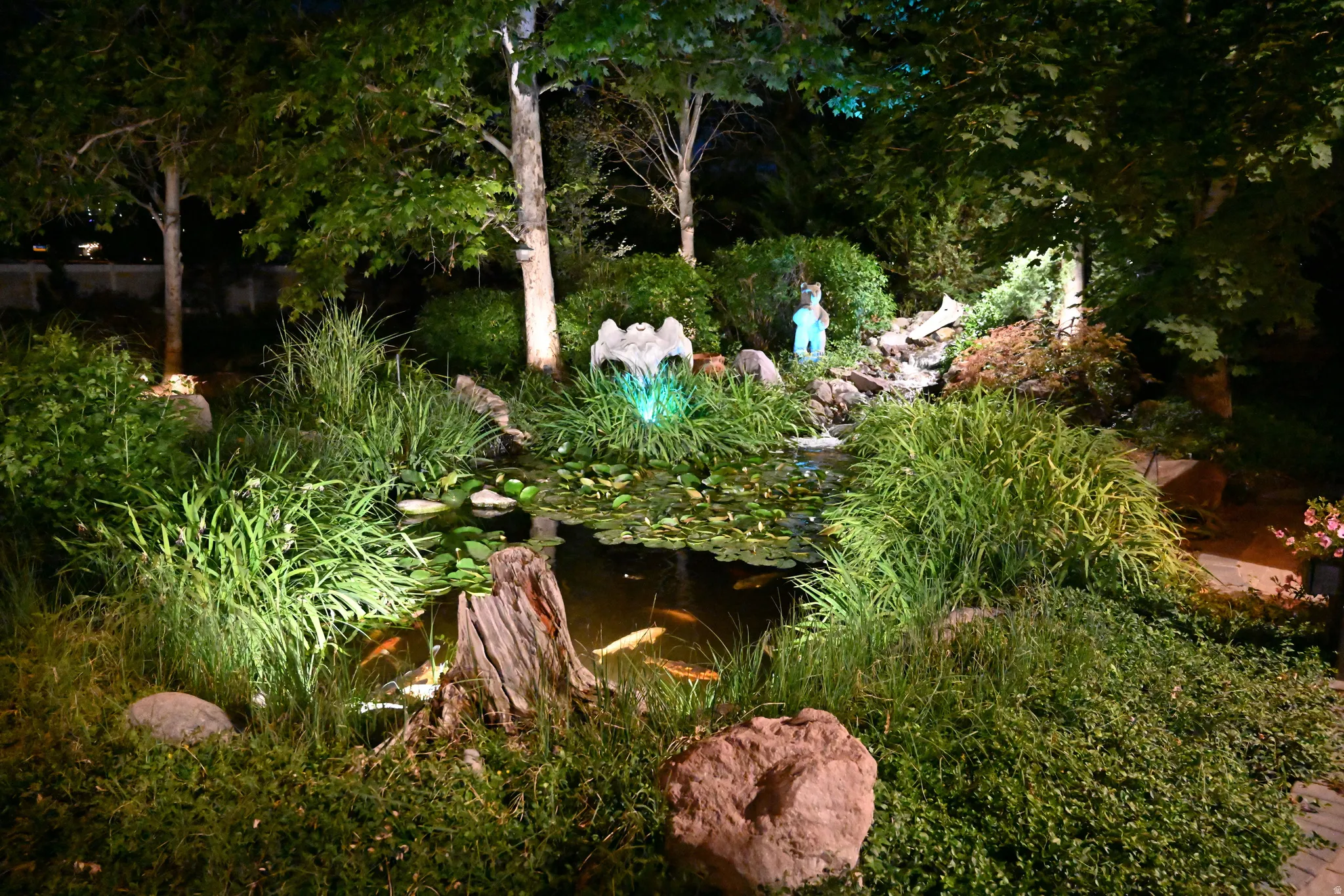 Tranquil water feature with a koi pond, cascading waterfall, and mature trees, enhanced by integrated landscape lighting