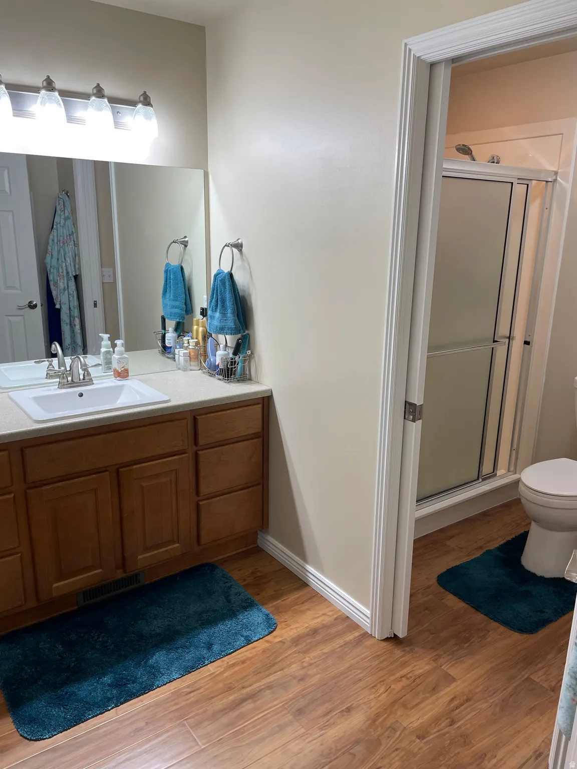 Bathroom featuring a wood-finish floor and a vanity with a white rectangular sink