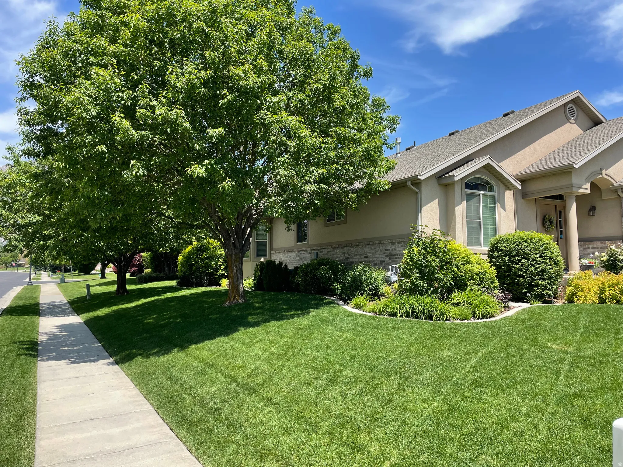 Manicured front yard featuring mature shade trees, established shrubbery, a concrete sidewalk, and a stucco and stone exterior
