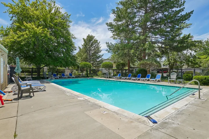 Rectangular swimming pool featuring a concrete surround, metal handrails, and surrounding mature trees