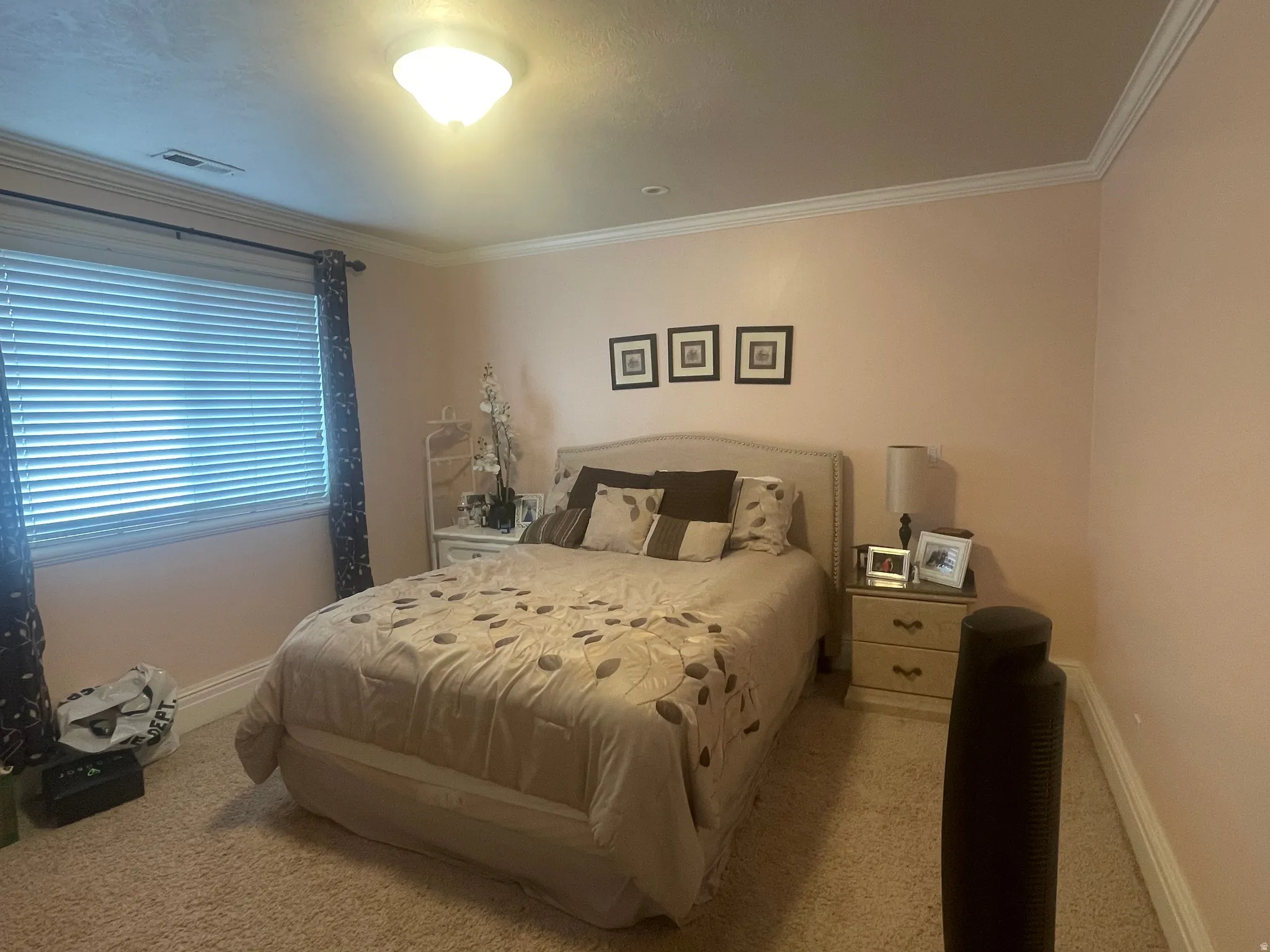 Carpeted room featuring a window with blinds, crown molding, and a flush mount ceiling light fixture